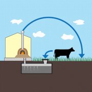 Как соорудить установку для получения биогаза: делаем биореактор своими руками