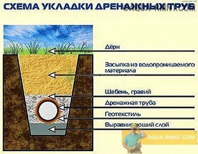 Уроки женского массажа Уроки женского массажа